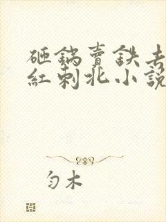 砸锅卖铁去上学红刺北小说全文阅读