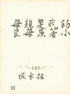母亲是我的贤妻良母原著小说阅读