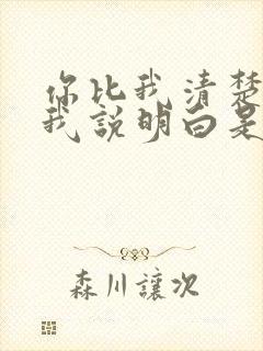 你比我清楚还要我说明白是什么歌