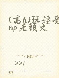 (高h)玩淫受np老头文