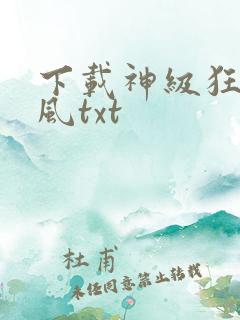 下载神级狂婿岳风txt