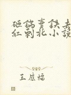 砸锅卖铁去上学红刺北小说精校