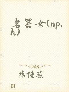 名器女(np,h)