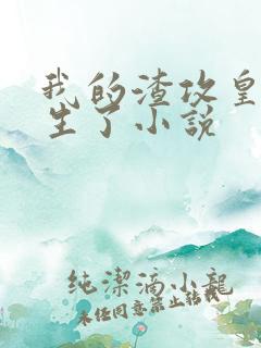 我的渣攻皇上重生了小说