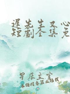 迟先生又心动了短剧全集免费播放剧