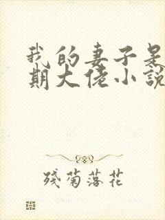 我的妻子是大乘期大佬小说第一部