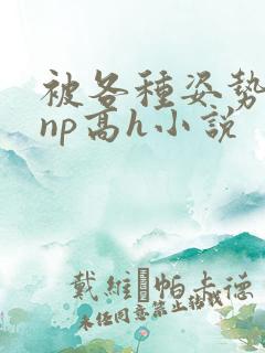 被各种姿势玩弄np高h小说