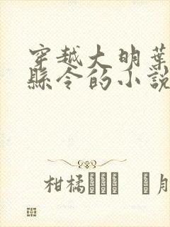 穿越大明叶青当县令的小说