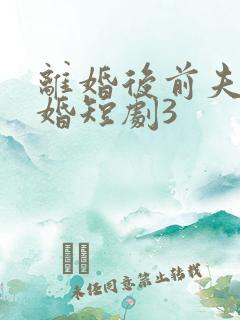 离婚后前夫求复婚短剧3