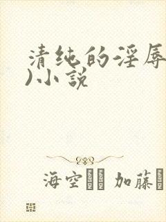 清纯的淫辱(h)小说