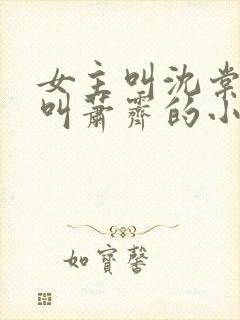 女主叫沈棠男主叫萧霁的小说