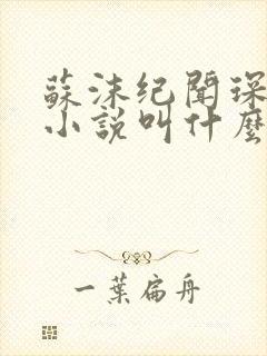 苏沫纪闻琛原著小说叫什么名字