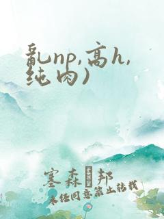乱np,高h,纯肉)