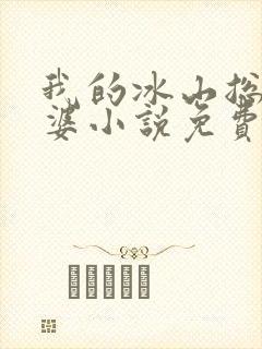 我的冰山总裁老婆小说免费完整版