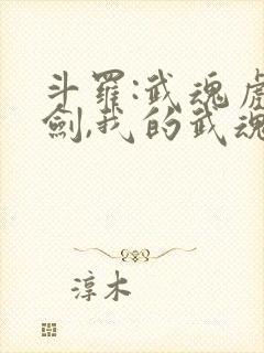 斗罗:武魂虎魄剑,我的武魂是龙王棍