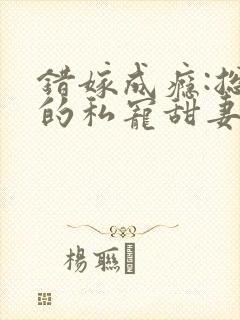 错嫁成瘾:总裁的私宠甜妻