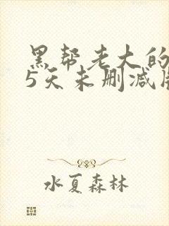 黑帮老大的365天未删减版