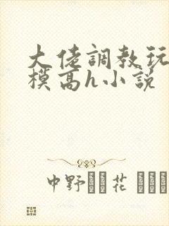 大佬调教玩弄嫩模高h小说