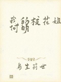 我的校花姐姐 何明