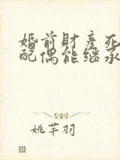 婚前财产死亡后配偶能继承吗