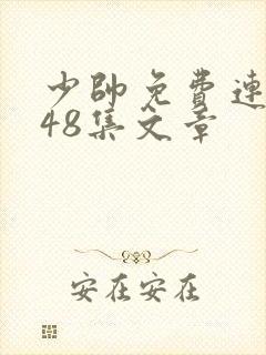 少帅免费连续剧48集文章