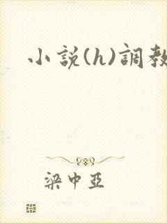 小说(h)调教