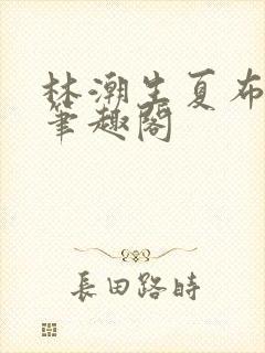 林潮生夏布多昂笔趣阁