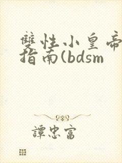 双性小皇帝调教指南(bdsm