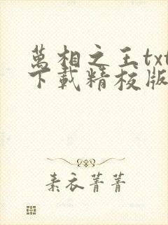 万相之王txt下载精校版