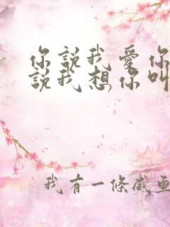 你说我爱你,你说我想你叫什么歌?