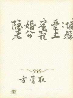 隐婚蜜爱:偏执老公宠上瘾小说完整版