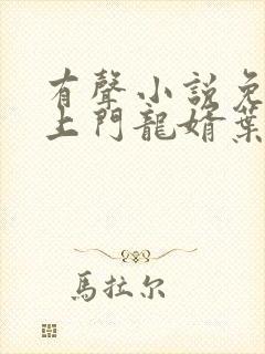 有声小说免费听上门龙婿叶辰