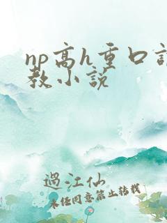np高h重口调教小说