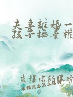 夫妻离婚一个男孩子抚养权怎么判定