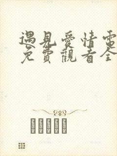 遇见爱情电视剧免费观看全集高清