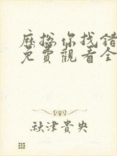 历总你找错夫人免费观看全集