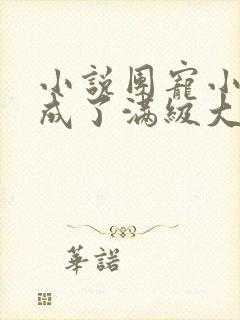 小说团宠小可爱成了满级大佬在线阅读