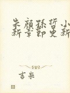 朱颜孙哲小说最新章节更新内容