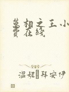 万相之王小说免费在线