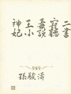 神王毒宠二嫁王妃小说听书