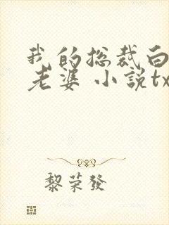 我的总裁白富美老婆 小说txt下载