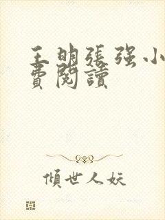 王明张强小说免费阅读