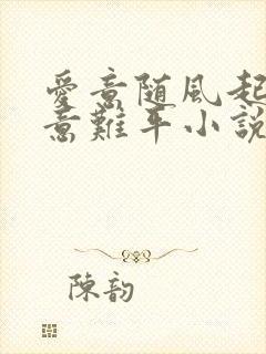 爱意随风起风止意难平小说