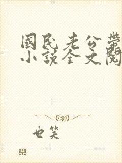 国民老公带回家小说全文阅读免费