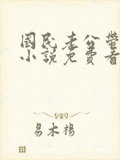 国民老公带回家小说免费看