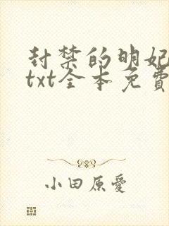 封禁的明妃小说txt全本免费阅读