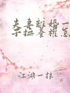 夫妻离婚一个孩子抚养权怎么判定