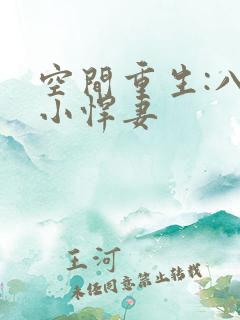 空间重生:八零小悍妻