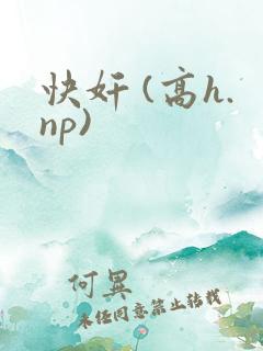 快奸 (高h.np)