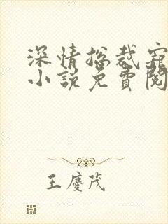 深情总裁宠不停小说免费阅读